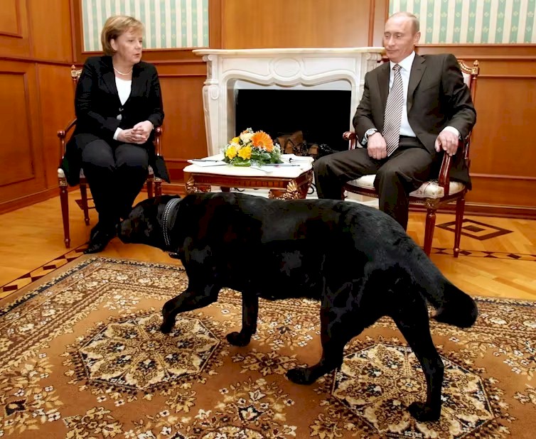 Путин с Меркель (и собакой)